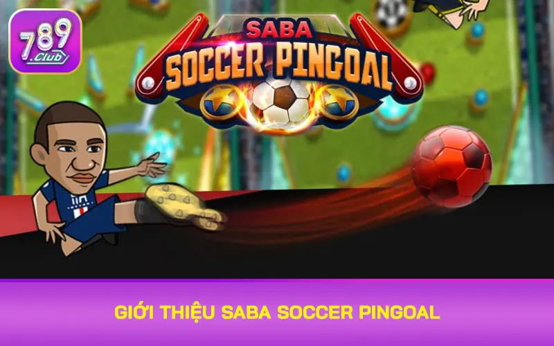 Giới thiệu Saba Soccer Pingoal