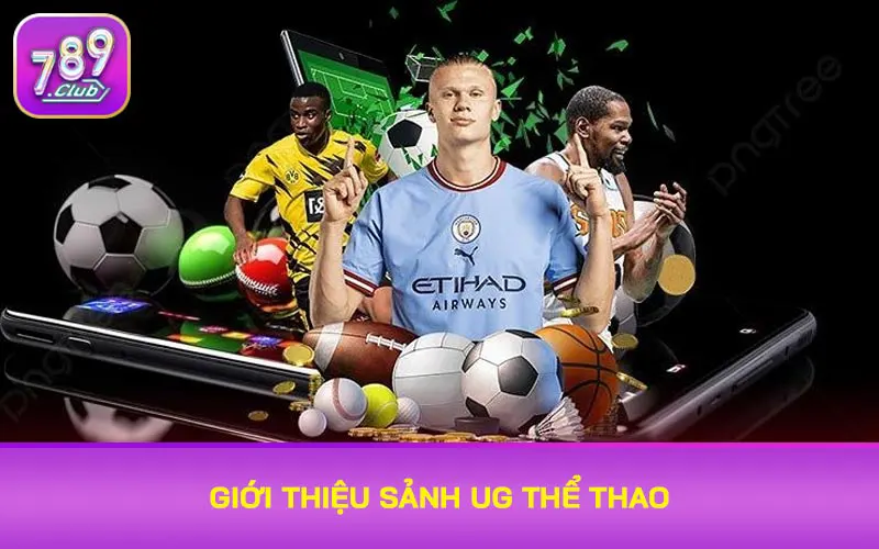 Giới thiệu sảnh UG thể thao