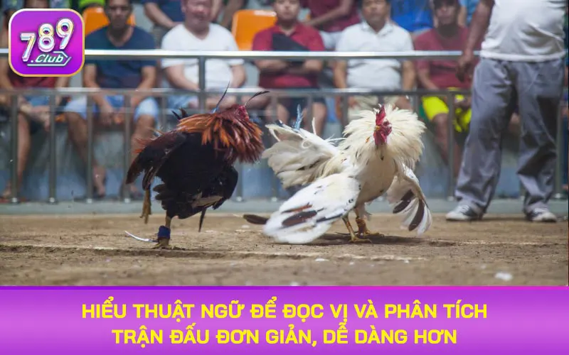 Hiểu thuật ngữ để đọc vị và phân tích trận đấu đơn giản, dễ dàng hơn