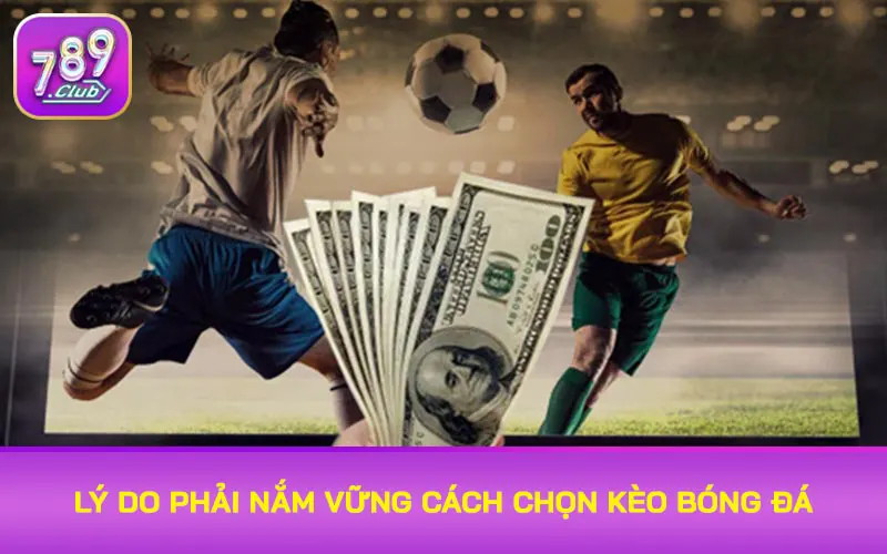 Lý do phải nắm vững cách chọn kèo bóng đá