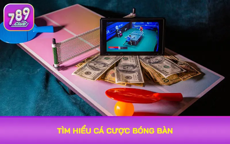 Tìm hiểu cá cược bóng bàn